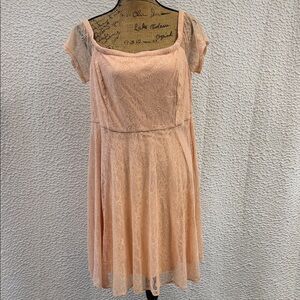 torrid Blush Pink Lace Fit-and-Flare Dress